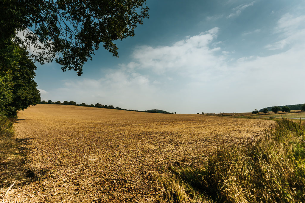 landschaft