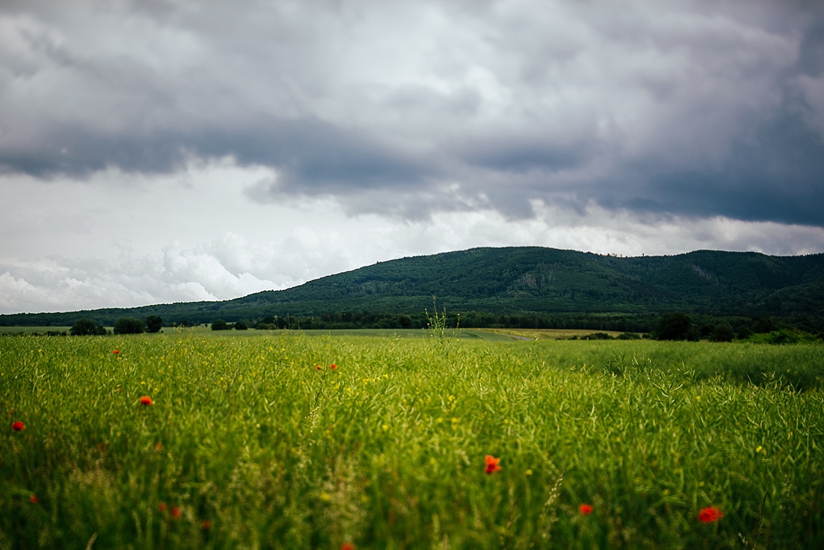 blick auf den harz - hochzeitsfotograf im harz - licht von dieser welt
