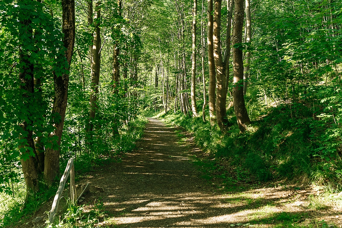 inseln klaren lichts - hochzeitsfotograf im harz - licht von dieser welt