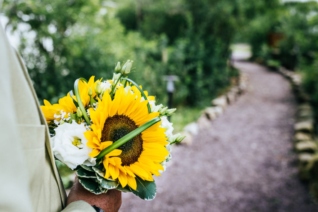 hochzeitsfotograf schönebeck
