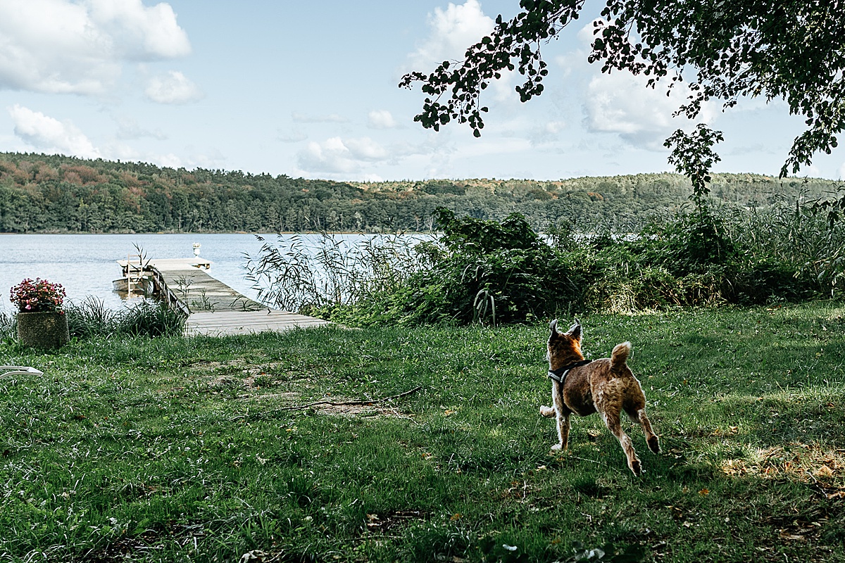 hund steg see krebssee usedom hochzeit reportage bluesky sea