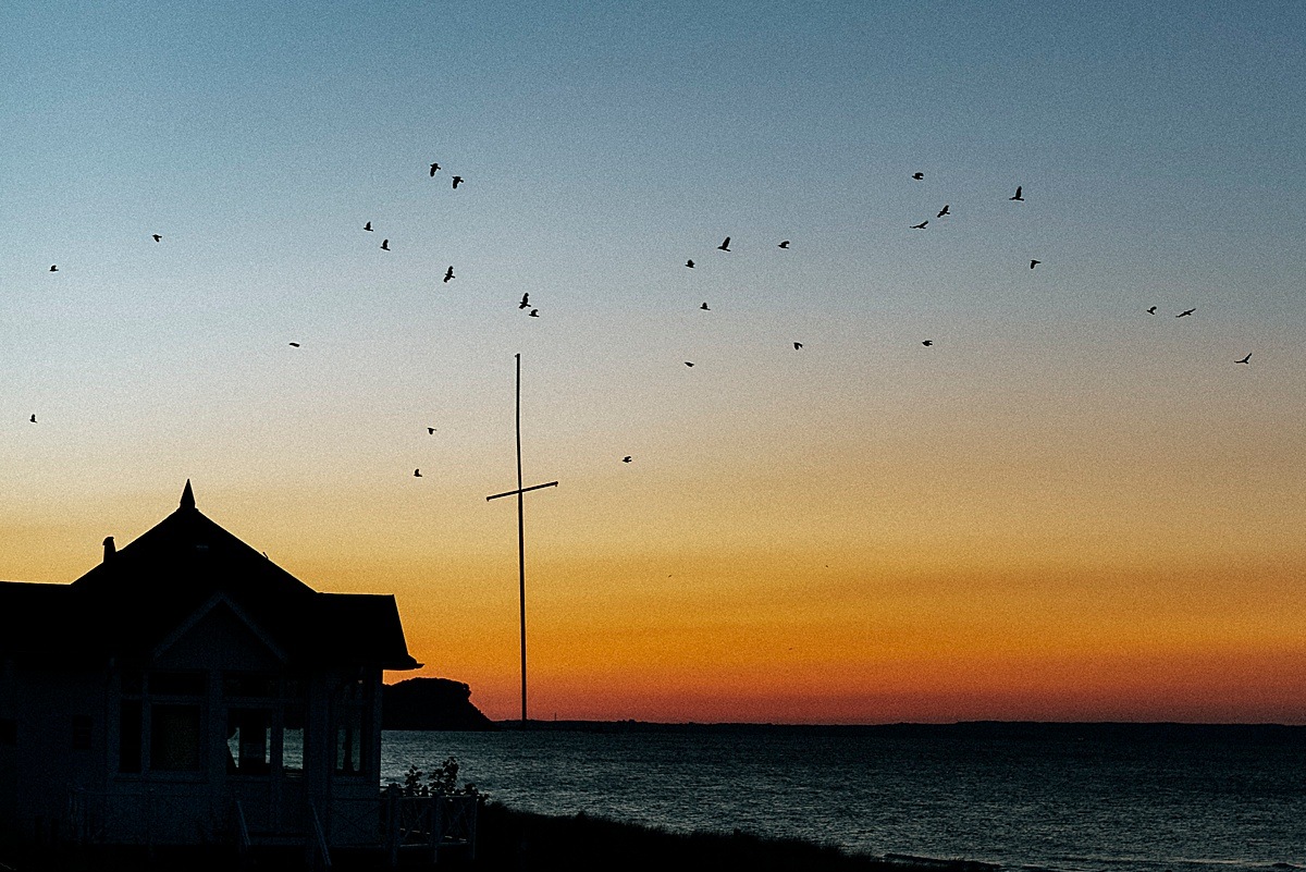 strand beach ostsee balticsea möwen vögel sonnenuntergang 