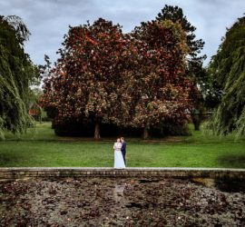 brautpaar, Teich, Seerosen, shooting,