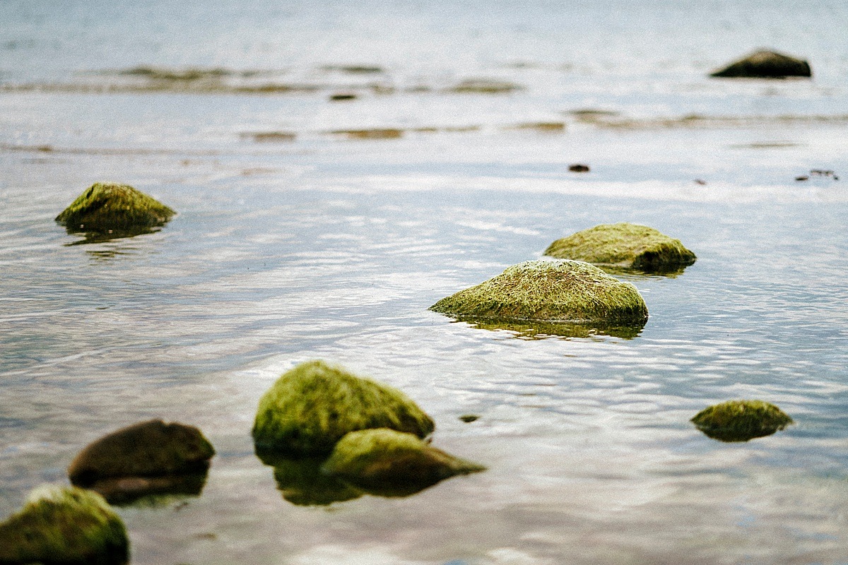 steine ostsee meer ocean balticsea wasser