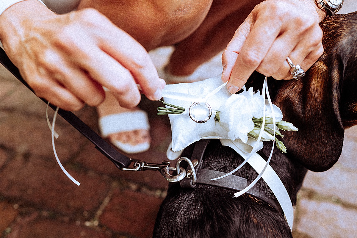 ring, Ehering, Hochzeit, hochzeitsfotograf Norderney 
