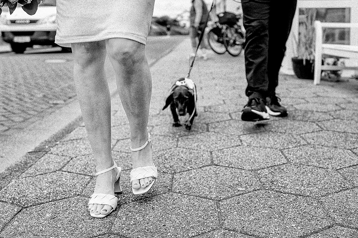 brautpaar, Norderney, Inselhochzeit, reportage, Hund, Dackel, dog, Hochzeitshund