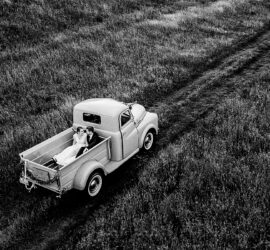 Hochzeit auf dem flusshof, Hochzeit in der altmark, reportage