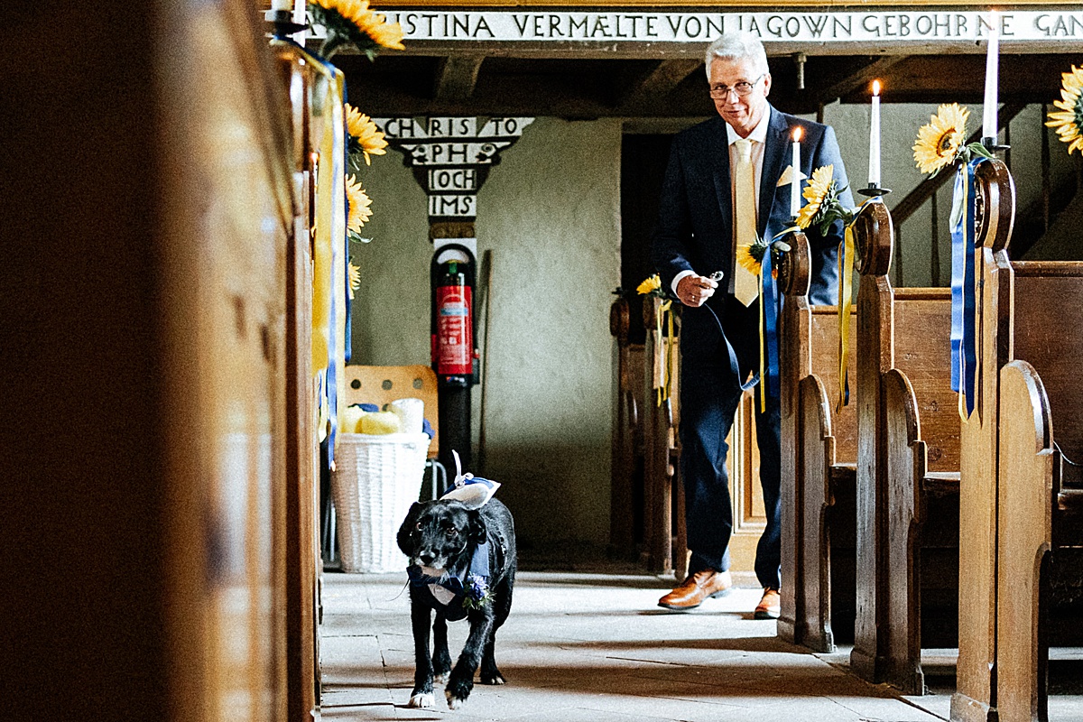hochzeitshund, weddingdog, dog, hund, ringträger, kirche, hochzeitsfotograf altmark