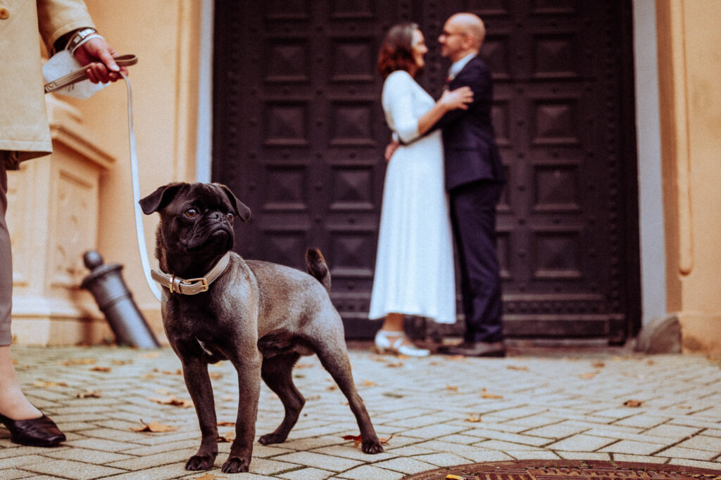 hochzeitsfotograf celle, hund, brautpaar